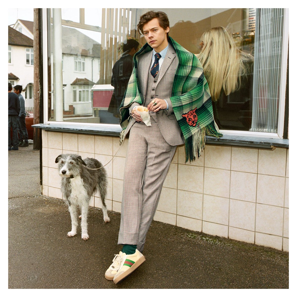 Harry Styles Gucci Campaign
