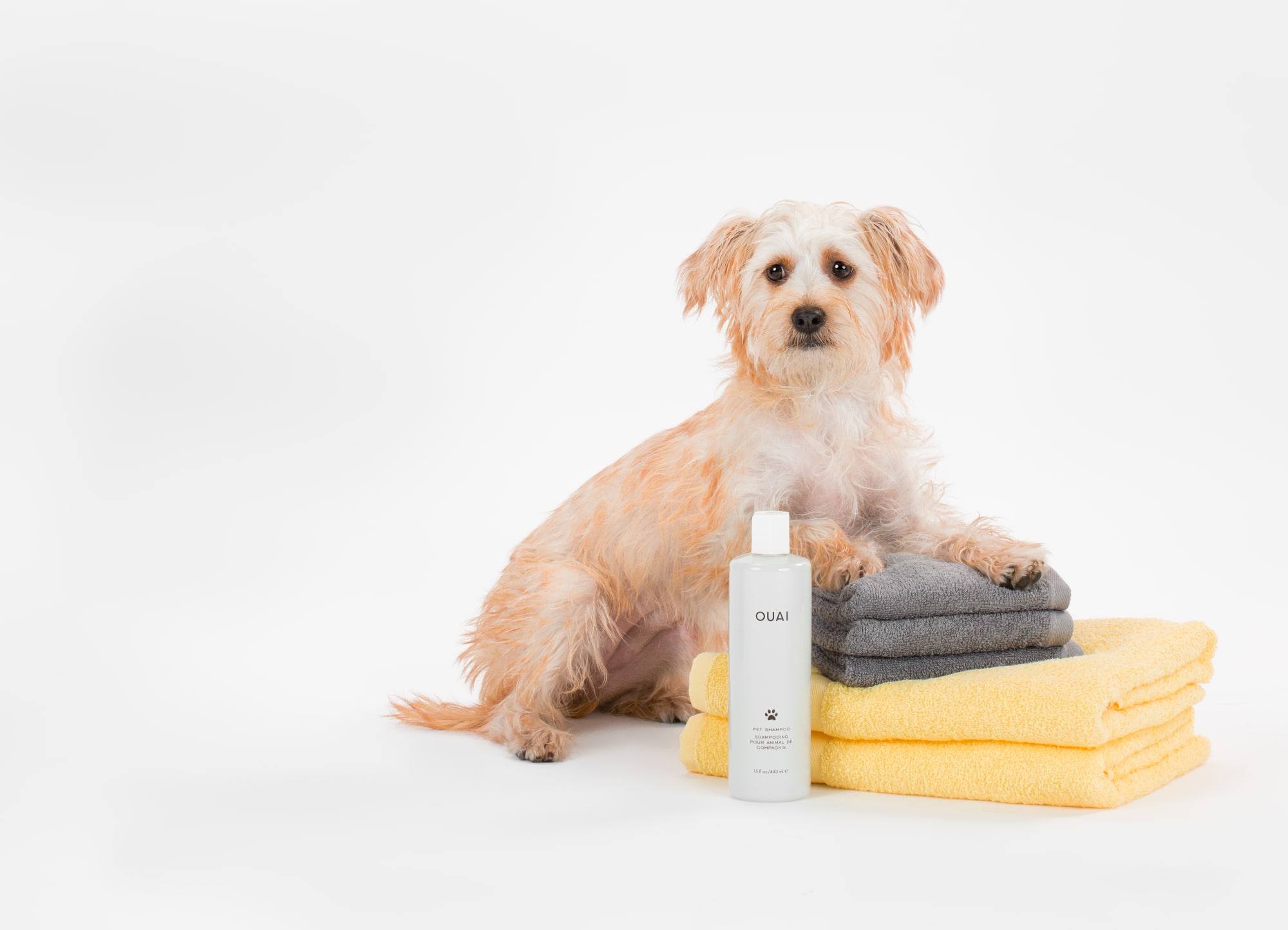 Ouai Pet Shampoo 