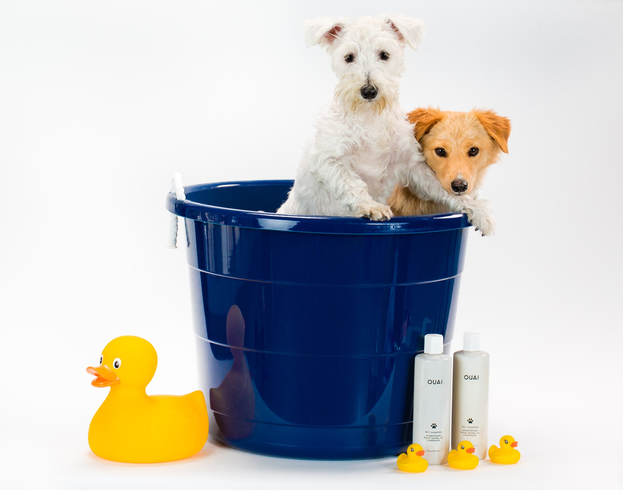 Ouai Pet Shampoo 