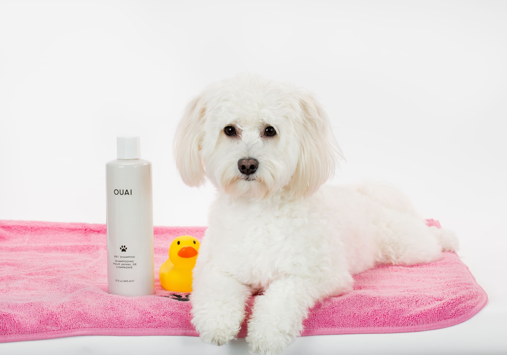 Ouai Pet Shampoo 