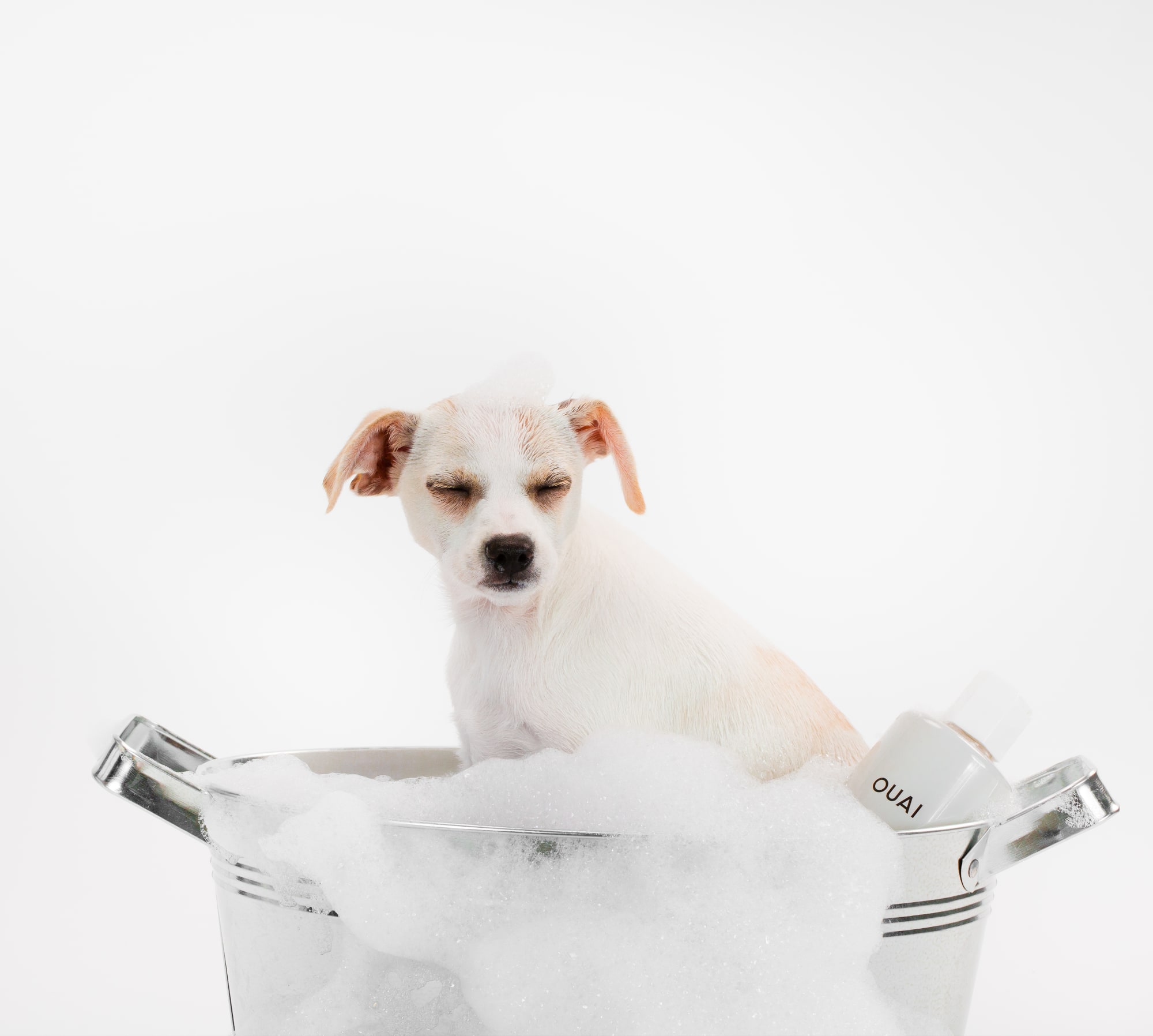 Ouai Pet Shampoo 