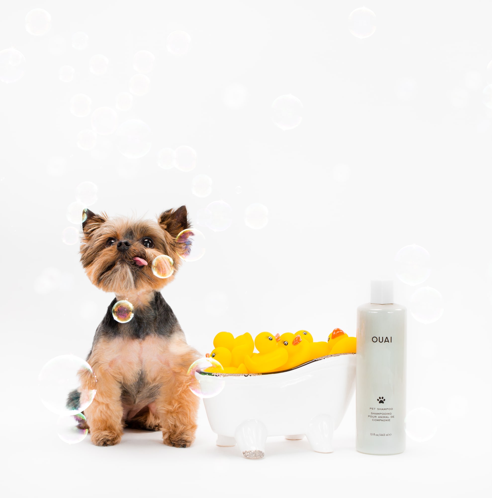 Ouai Pet Shampoo 