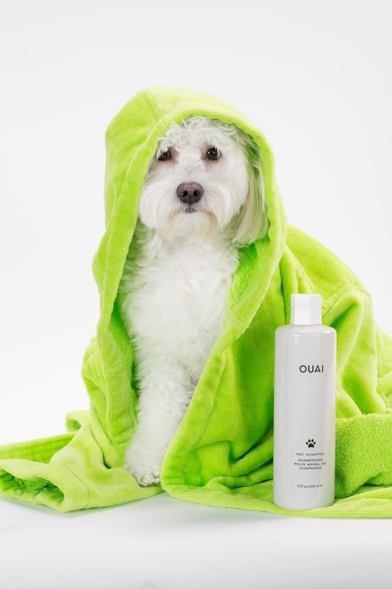 Ouai Pet Shampoo 