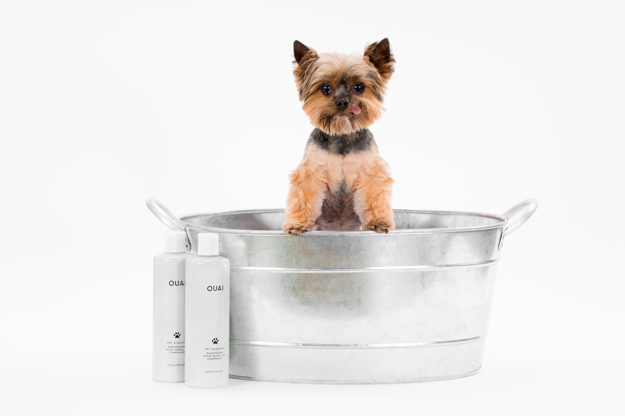 Ouai Pet Shampoo 