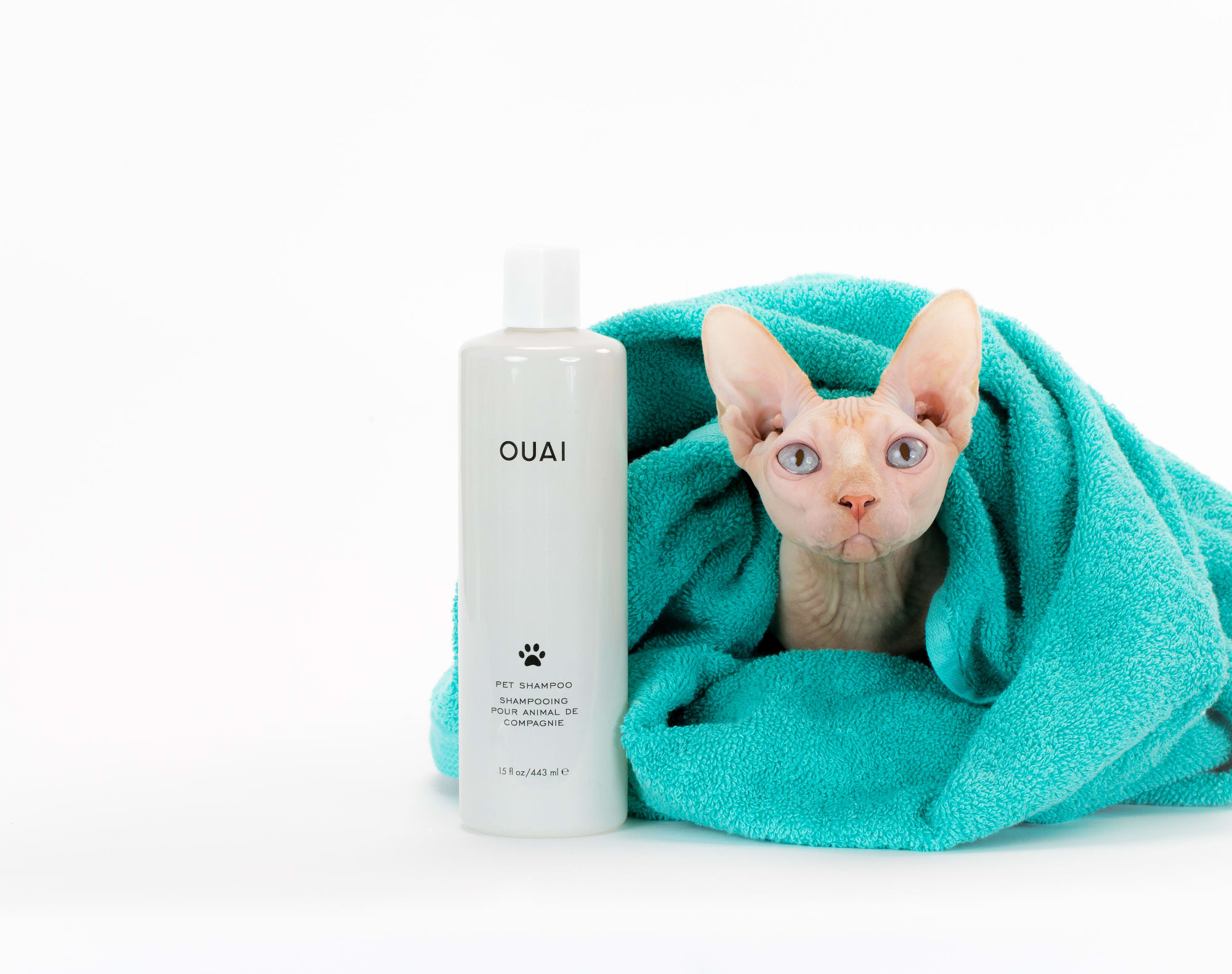 Ouai Pet Shampoo 