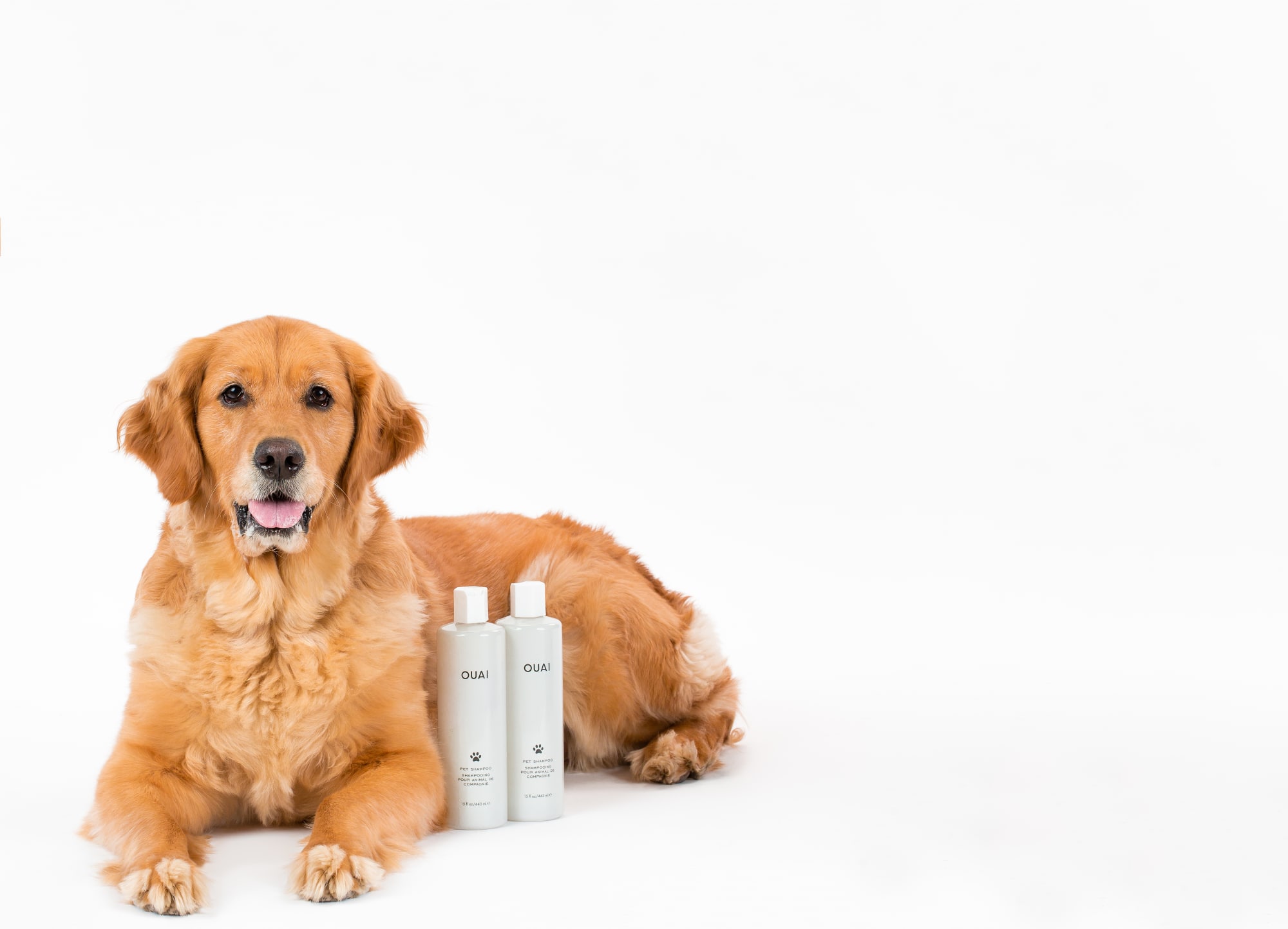 Ouai Pet Shampoo 