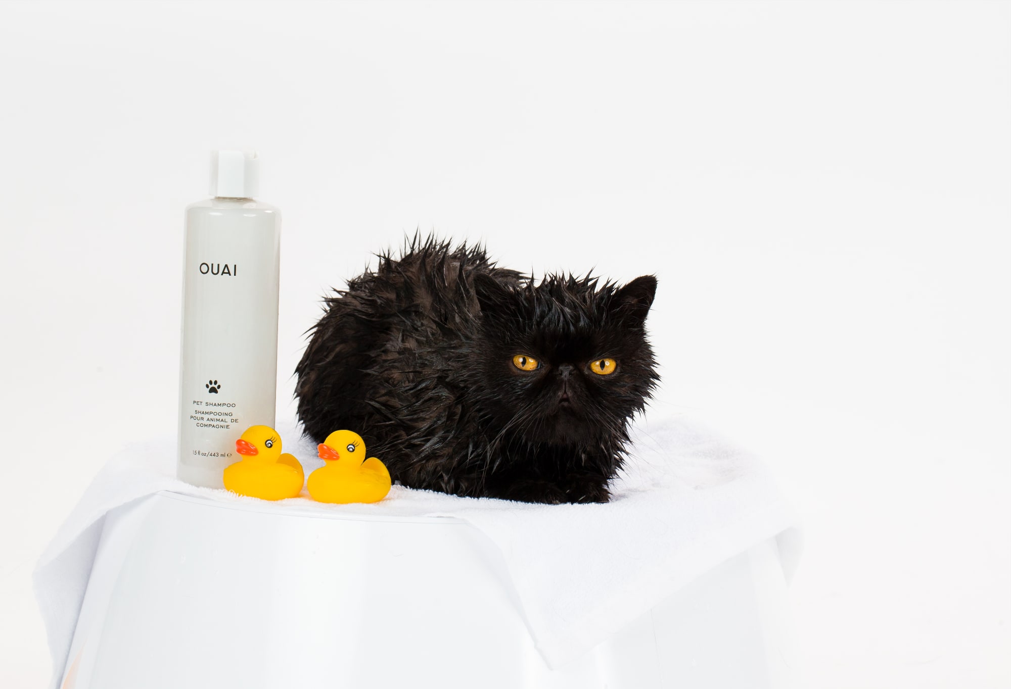 Ouai Pet Shampoo 