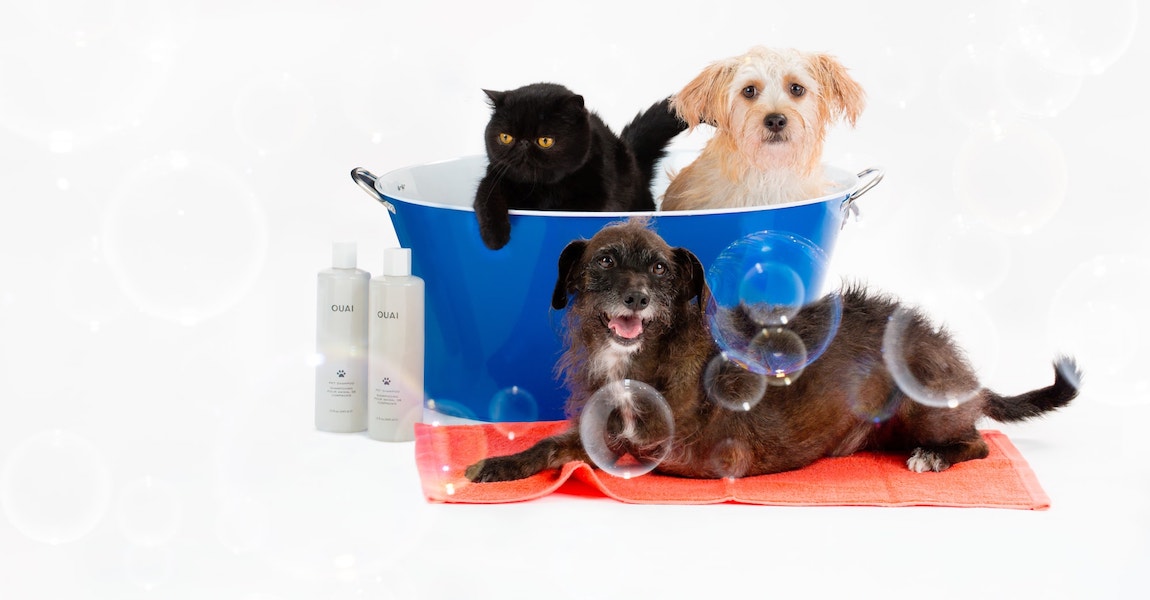 Ouai Pet Shampoo