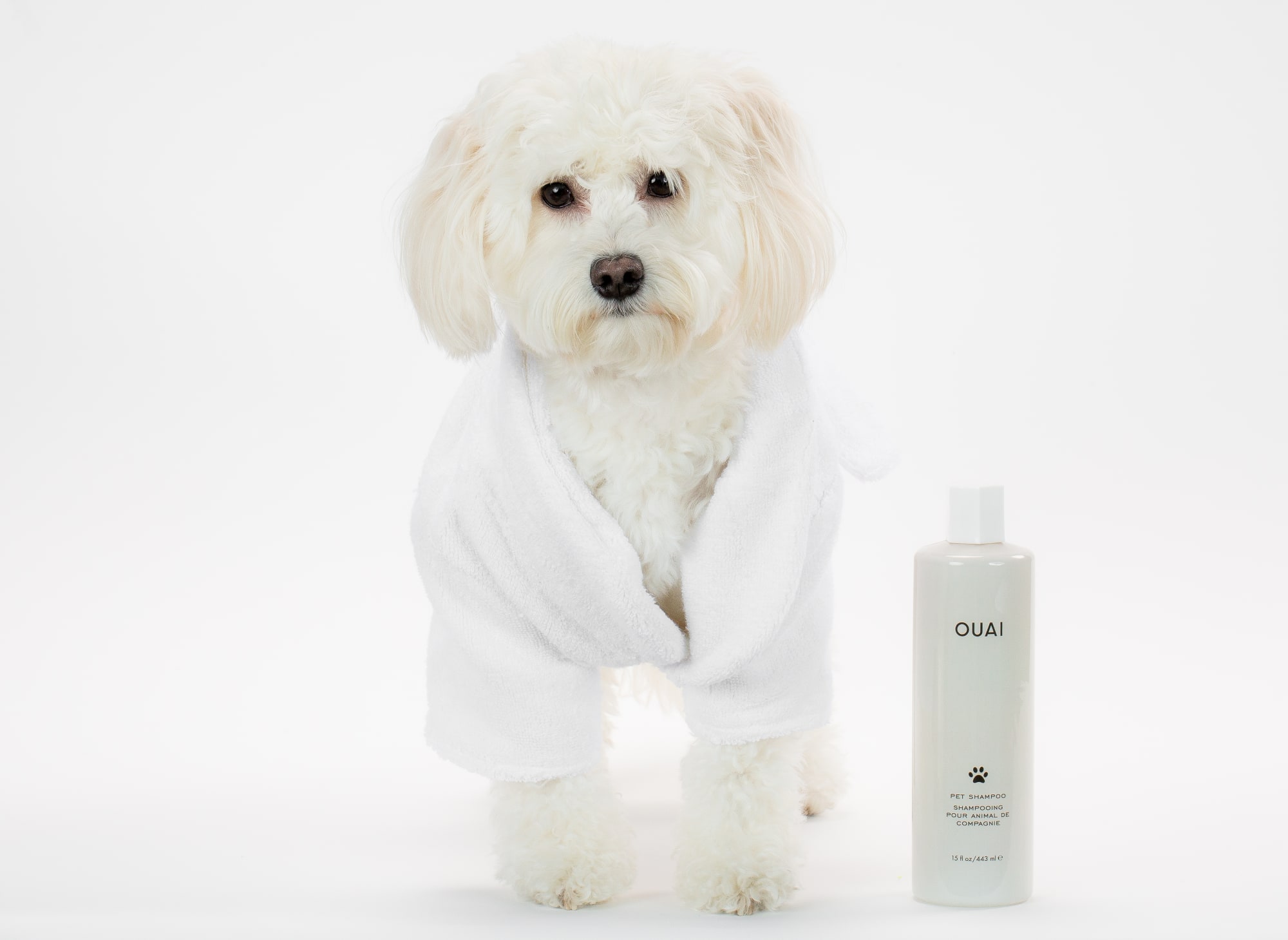 Ouai Pet Shampoo 