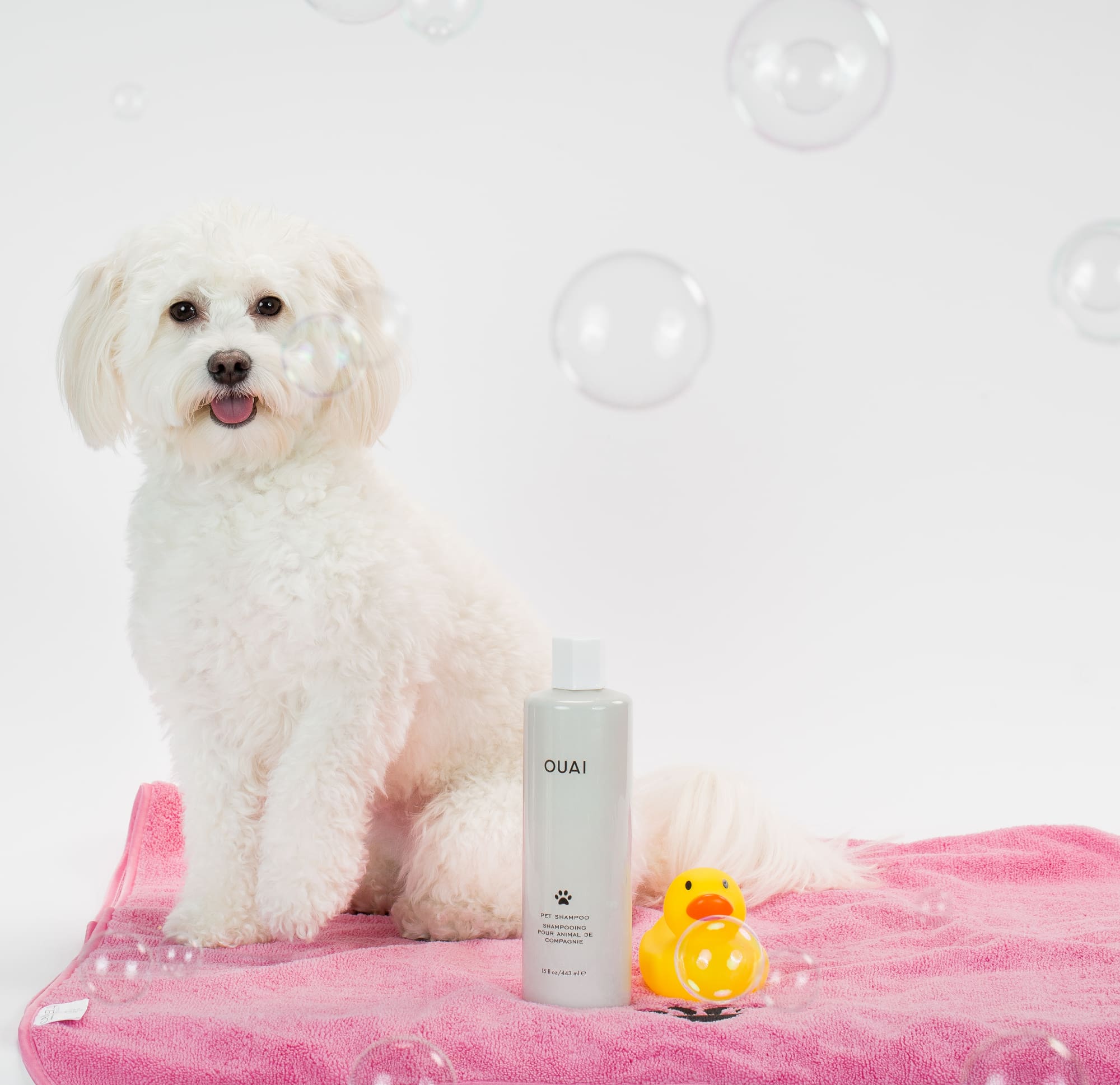 Ouai Pet Shampoo 