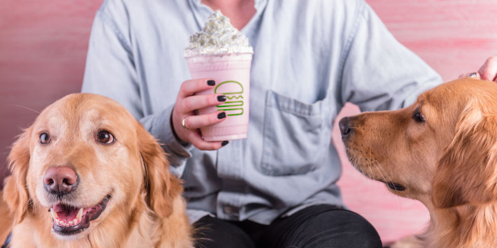 Shake Shack Dogs